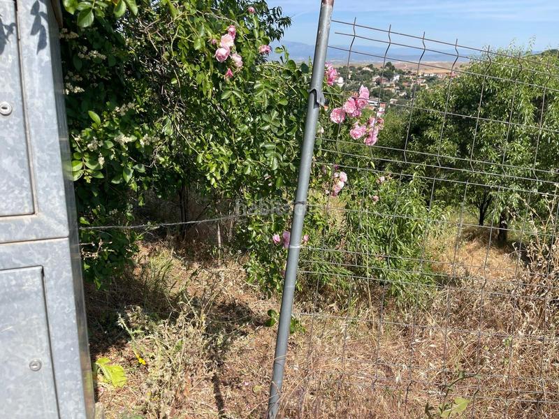 Foto 63ebf35f-6bb7-4f98-a51d-cc2a675f16e1. Terrain résidentiel dans Casar (El)