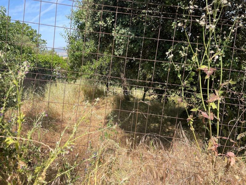 Foto 97898075-23db-4b16-9325-85527c3976cc. Terrain résidentiel dans Casar (El)