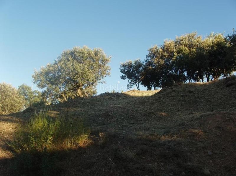 Foto 2e492c21-295f-4510-be5e-0af0caa1204d. Wohngrundstück in Casar (El)