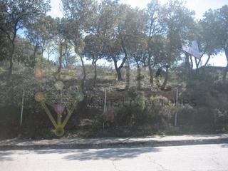 Terreny residencial  Avenida el casar
