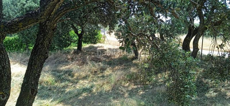 Foto 225e2322-4071-4203-a8f1-412c4c5e04c5. Wohngrundstück in Casar (El)