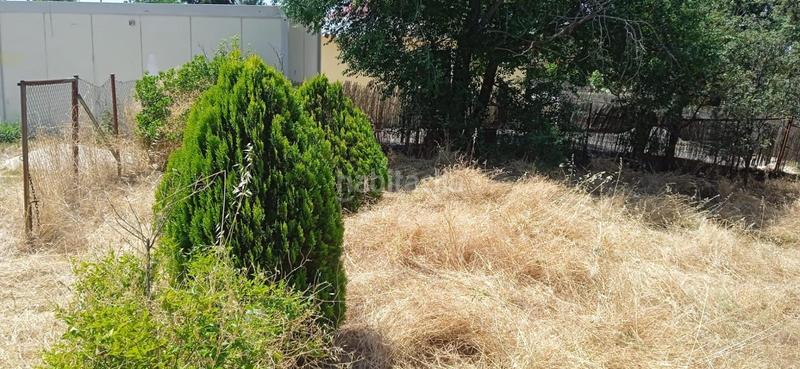 Foto 7dca02c9-c2fb-4de0-91cf-611fd3c1fa64. Wohngrundstück in Casar (El)