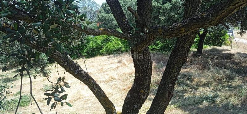 Foto 86310c8d-541c-4cf7-8f80-630e85adf5b0. Wohngrundstück in Casar (El)