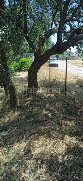 Foto a9a933db-e2a8-4365-ba4e-31bdc6116ad8. Wohngrundstück in Casar (El)