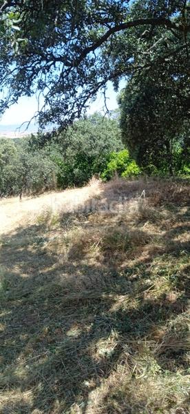 Foto bb84ce50-1770-46ec-af1d-ced746c1d883. Wohngrundstück in Casar (El)