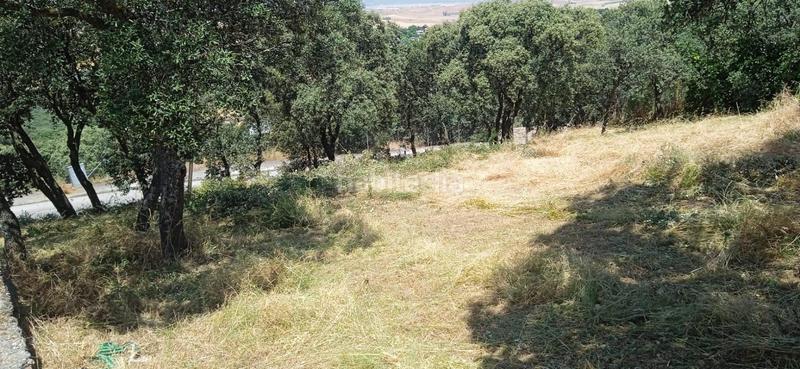 Foto d076da64-aefb-4def-92fd-2fbff99d9037. Wohngrundstück in Casar (El)