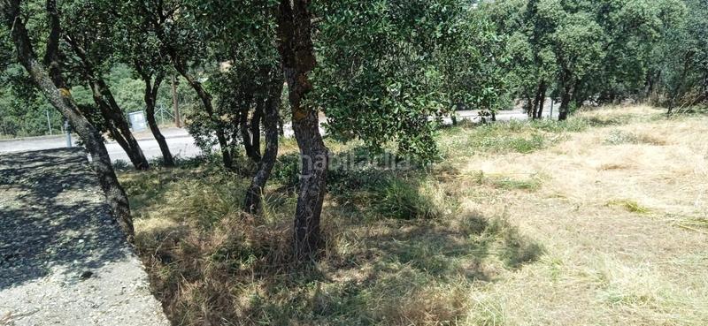 Foto d0ae7794-b479-4160-9e98-4cc38494d51c. Wohngrundstück in Casar (El)