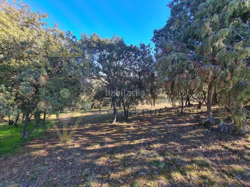 Foto 282563cb-f422-46fc-bb4c-91572976ebab. Residential plot in Casar (El)