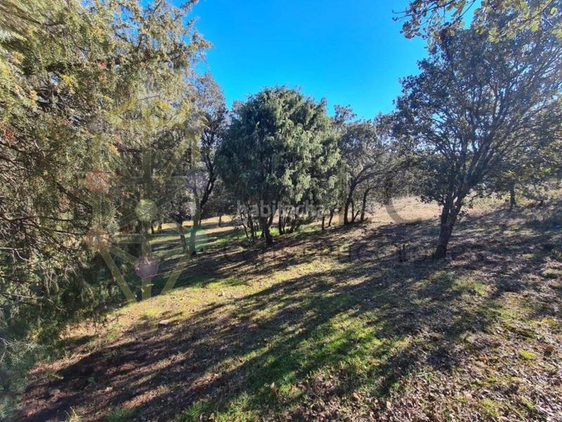 Foto 7d4e79a5-a553-45af-8862-8529174170fb. Residential plot in Casar (El)