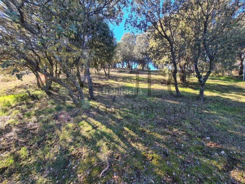 Foto 97c51b30-4471-46c7-a985-c952ea8724f5. Residential plot in Casar (El)