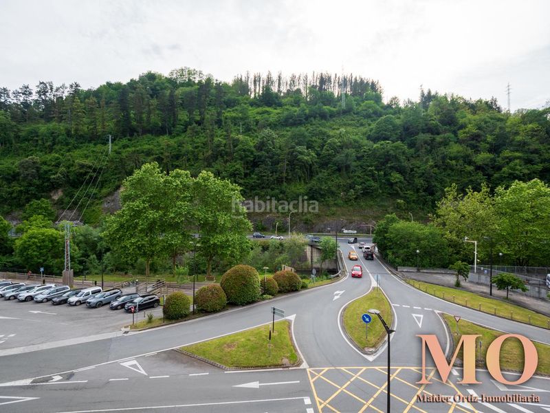Foto aa071b7c-ab8a-42e0-a7bc-6c2fdac61dc3. Piso en Bergara