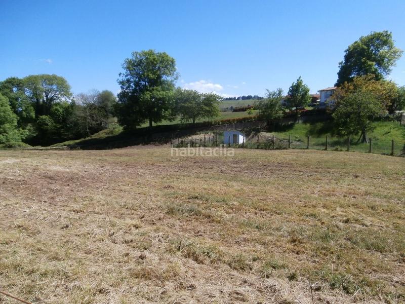 Foto 4cf3017c-d9ed-4dbd-b925-883e385aa47e. Terreny residencial a Piloña