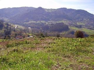 Terreny residencial a Candamo