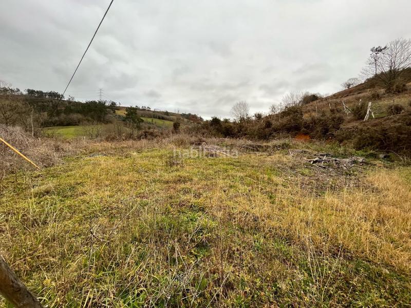 Foto 12b4a953-abb3-443c-a360-bba356fc3ffe. Fondo rustico in Grado