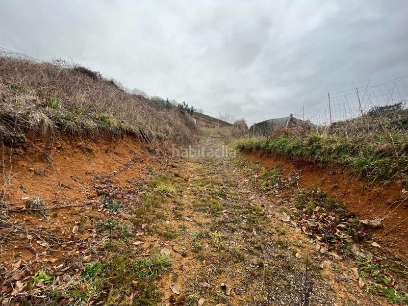 Foto 4ea7d46b-a4fe-4a96-99c9-5f7f9a3a595c. Fondo rustico in Grado