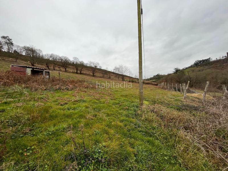 Foto 5dd11e16-f619-4a24-bca0-0d0aa6213d62. Fondo rustico in Grado