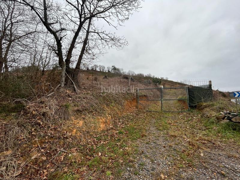 Foto 7757dbe2-8bd0-404c-b49f-ad518c1975ad. Fondo rustico in Grado