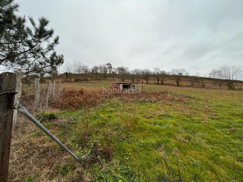 Foto ac0dfc82-5d3c-4192-bf7f-9ae88b99ed32. Fondo rustico in Grado