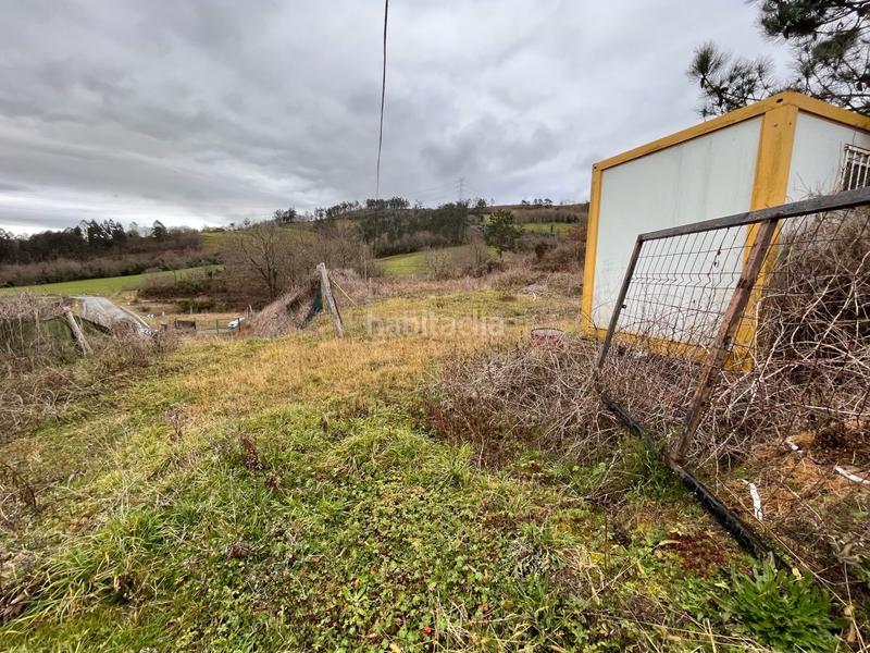 Foto f7a03363-323c-4a52-bf87-0b0f46998a48. Fondo rustico in Grado