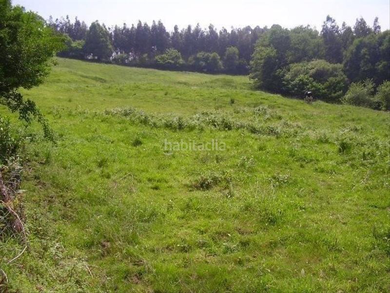 Foto dca0c206-350b-4695-b5c1-47864d5a8f49. Terreny residencial a Candamo