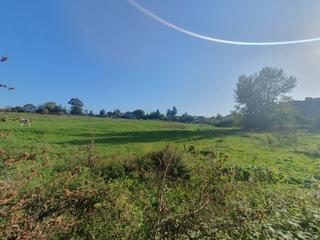 Residential Plot in Fozaneldi - Tenderina