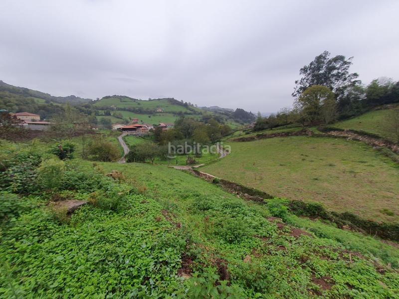 Foto c6e04035-96c7-45ab-88e8-d69f24f33622. Casa a Salas