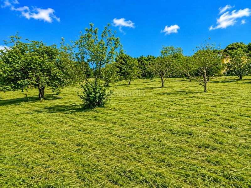 Foto 83d756a2-d7c8-40e3-9da7-e935ab74e7c0. Wohngrundstück in Grado
