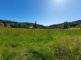 Terreno residencial en Grado. Finca urbana en venta en grado.