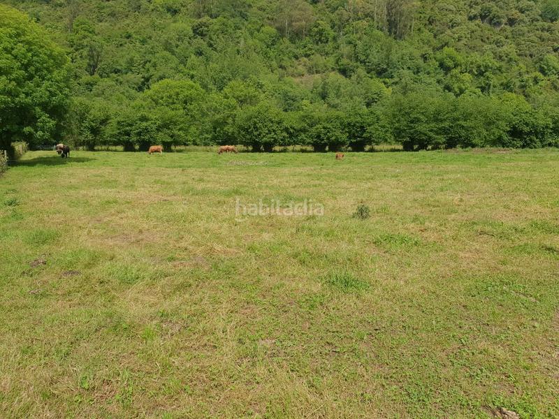 Foto 1e554ba4-1ab6-4bca-9946-afbe260523dc. Landgut in San Claudio - Trubia - Las Caldas Oviedo