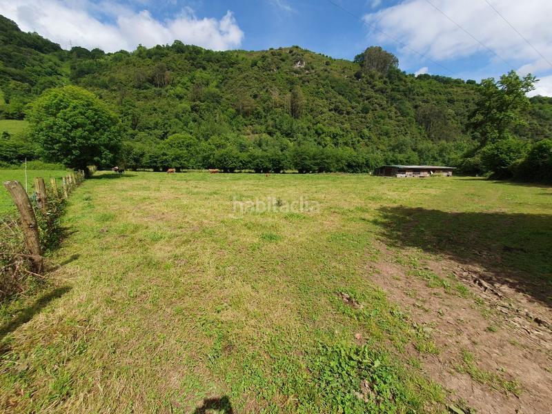 Foto 20e01794-7b88-4c7c-9a8c-33b29cef2c91. Landgut in San Claudio - Trubia - Las Caldas Oviedo