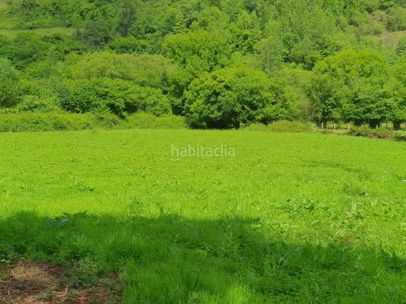 Foto 924bc22c-c028-460e-b7f6-ddacdcac3e24. Landgut in San Claudio - Trubia - Las Caldas Oviedo