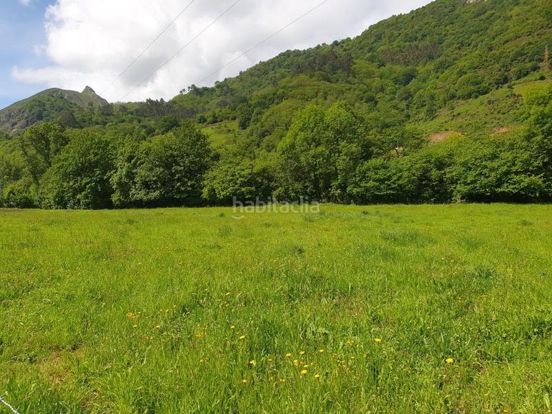 Foto a5a41db5-e6c0-4de2-8a50-40a218fecf5b. Landgut in San Claudio - Trubia - Las Caldas Oviedo