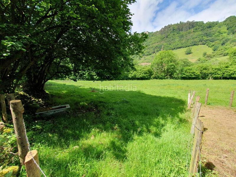 Foto c6a39b78-cb25-4b1a-9eeb-f32bd8d4a298. Landgut in San Claudio - Trubia - Las Caldas Oviedo