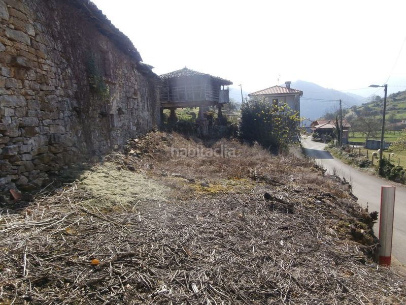 Foto a2ae8845-e1d1-49eb-8582-301c9c8464ae. Casa a Grado