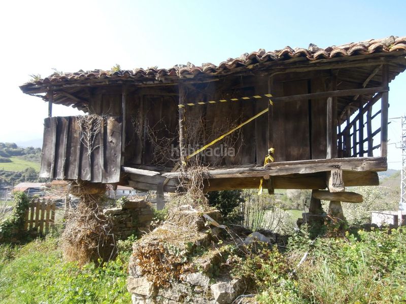Foto cff7661a-e871-48a1-a55e-594f94661066. Casa a Grado