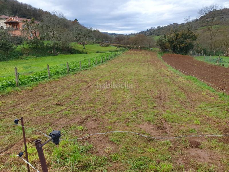 Foto 278e3af3-b730-48f0-b5c7-6699c11e3050. Terreno residenziale in Grado