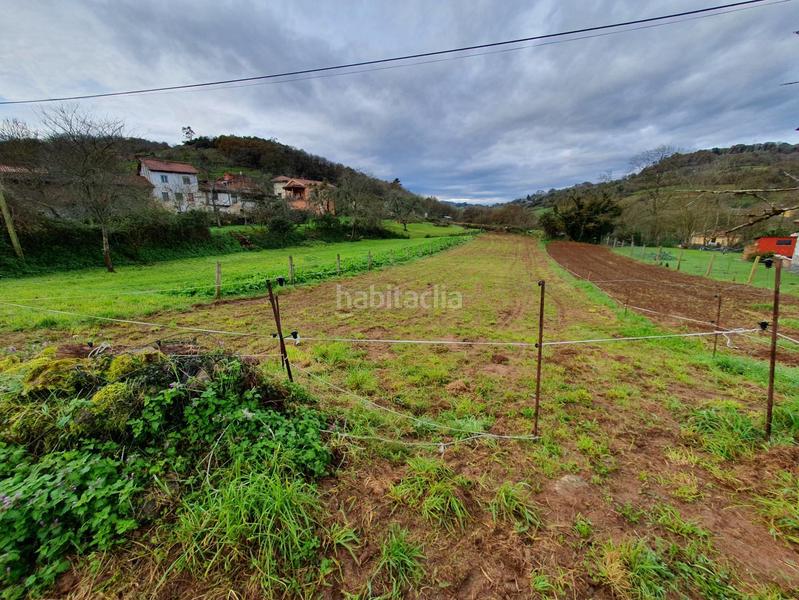 Foto ab87b93f-ea88-4195-9f1a-c4ab846882ed. Terreno residenziale in Grado