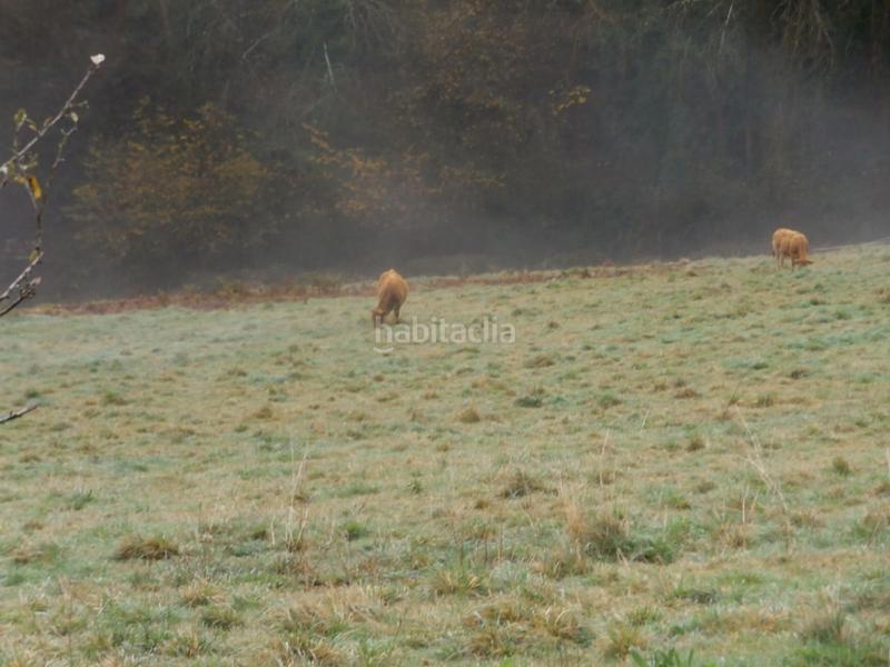 Foto 0462f8d1-f9ce-496a-abcb-dc57685361a2. Casa con parcheggio in Regueras (Las)