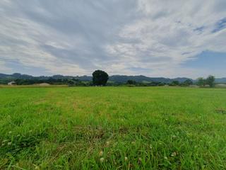 Masia a San Martín de Oscos. Finca rúst. en venta en grado.