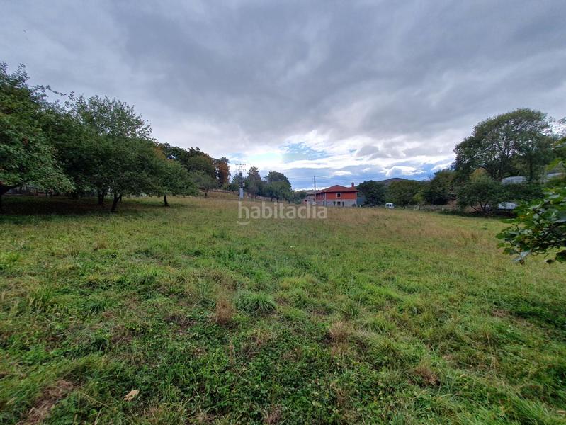 Foto 9fb802b5-9b97-4036-a4c0-5e7a9ecc84ba. Haus in Grado