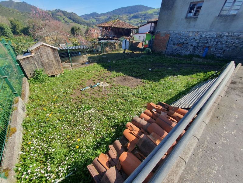 Foto 79f4f847-f979-4548-85b6-2c3615833b9d. Casa amb calefacció aparcament a Candamo