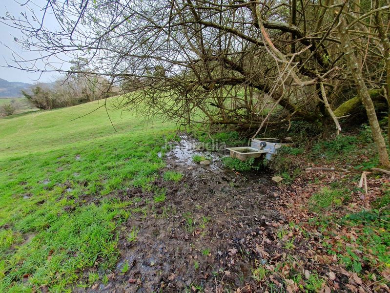 Foto 0001e060-3647-49d9-90ea-6c857d1f751b. Masia a Grado