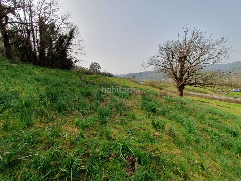 Foto 14c1a3e8-f8ce-4307-bad1-6b9fa640a84b. Masia a Grado