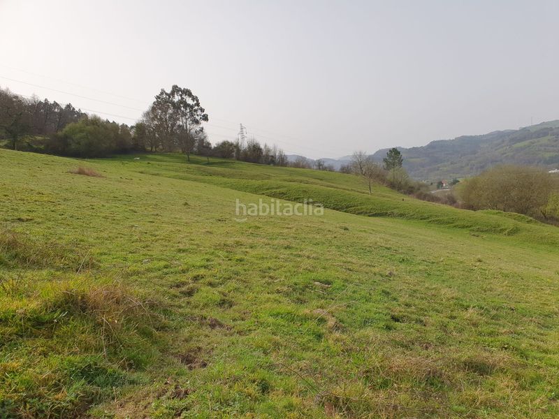 Foto 19fb72de-84fb-43c6-a409-a1af23cd24c6. Masia a Grado