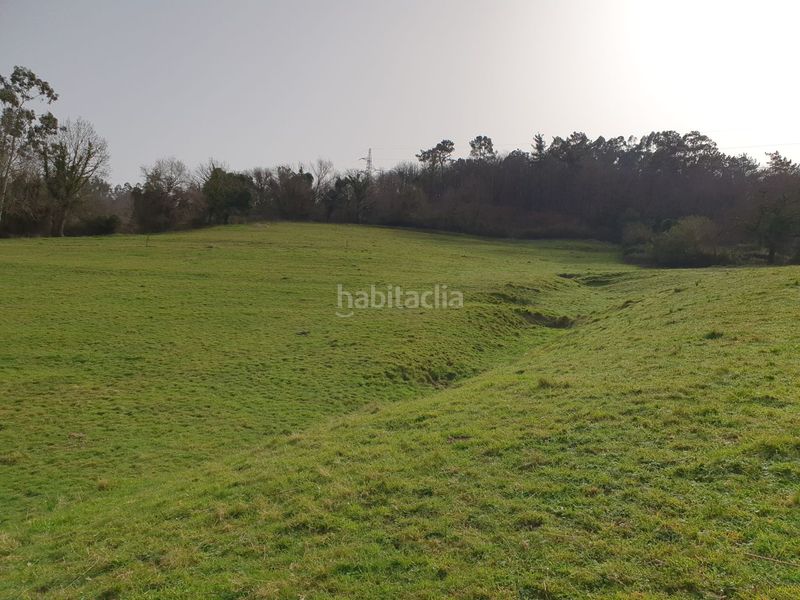 Foto 31304df9-59b8-4472-95ce-af292a8f84ca. Masia a Grado