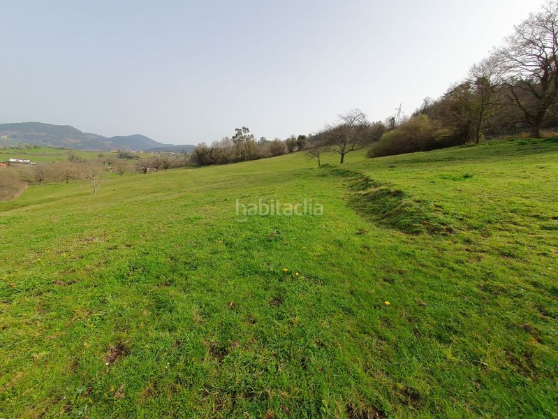 Foto 87321fe8-4e38-425d-95ee-35f88067a58e. Masia a Grado