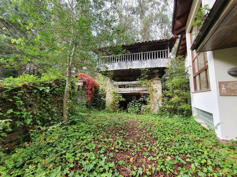 Foto ad9be1ce-e5a9-4a88-9607-e8bc4ebb68e8. Casa a Tineo