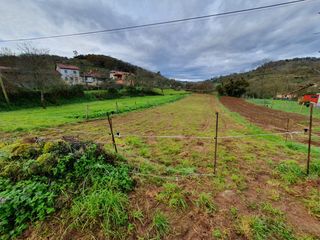 Terreny residencial a Grado. Parc.urbana en venta en grado.