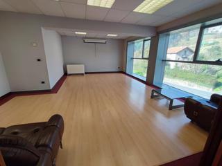 Industrial building  Arana y lupardo kalea. Edificio industrial independiente a pie de carretera.
consta de