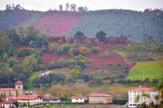 Finca rústica a Urduliz. 10000 metros de terreno rural en el centro de urduliz, muy proxi